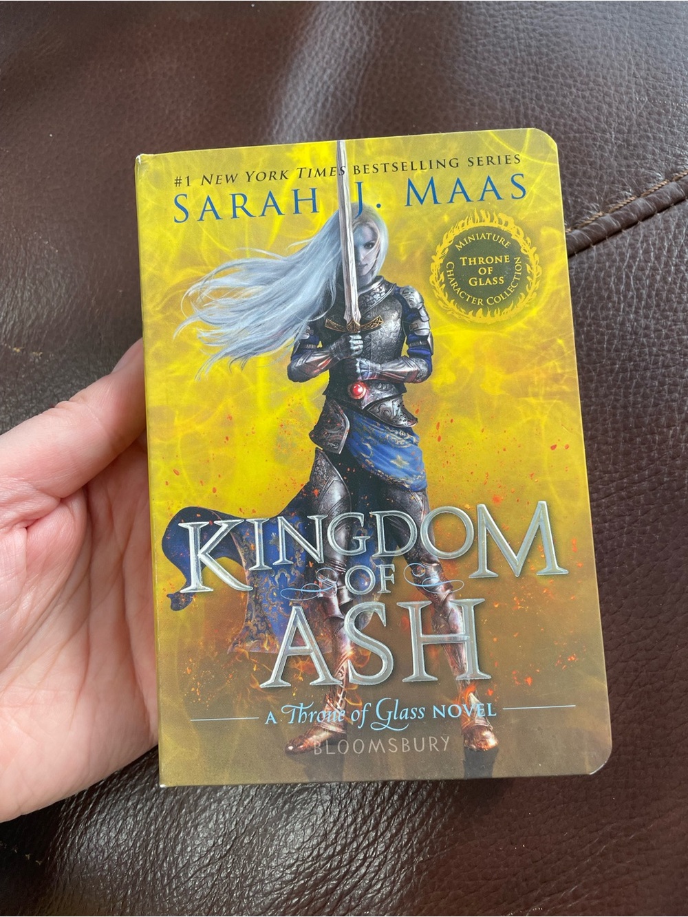 Kingdom of Ash Miniature by Sarah J. Maas